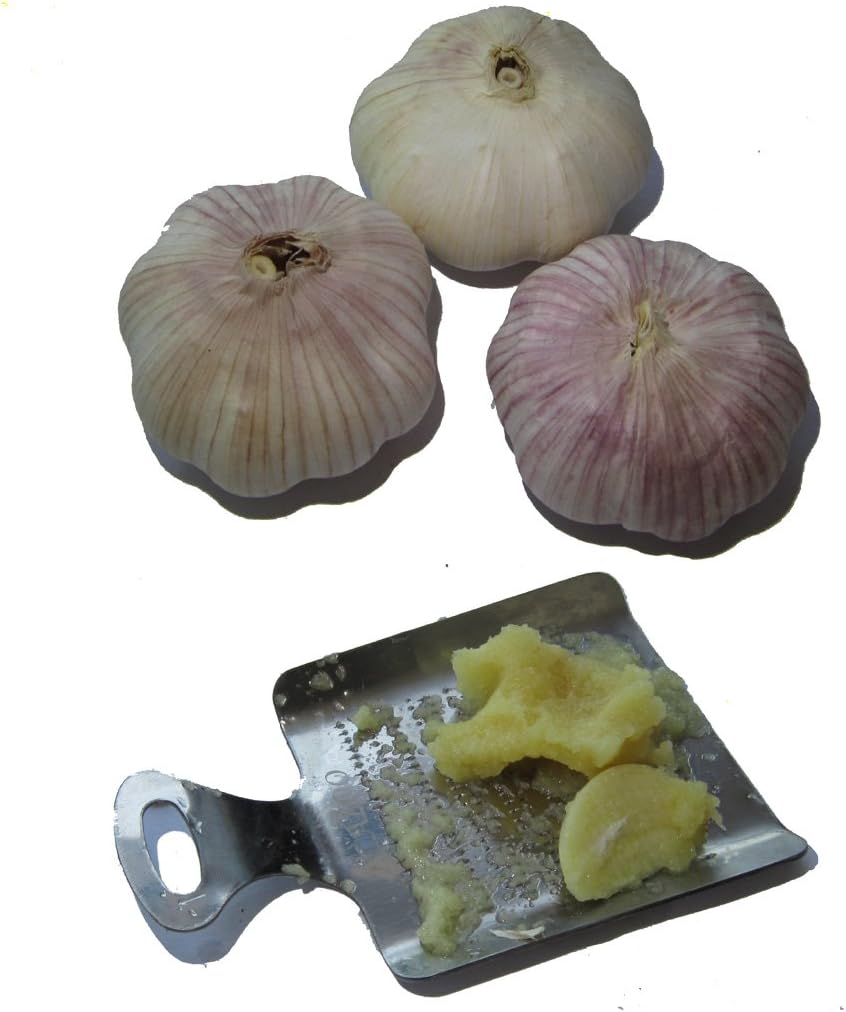 Mnm Box Deals | Mini Stainless Steel Square Grater Mini Stainless Steel Square Grater - Image 3