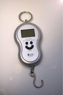 Mnm Box Deals | Portable Electronic Scale Sj-12 Portable Electronic Scale SJ-12 - Image 2