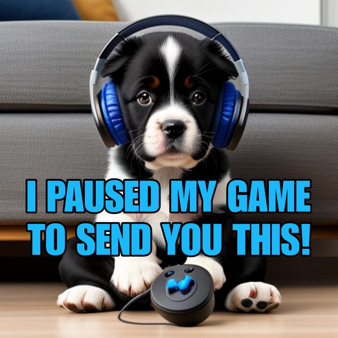 I Paused My Game To Send You This