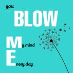 MnM Box Deals | You Blow My Mind Everyday