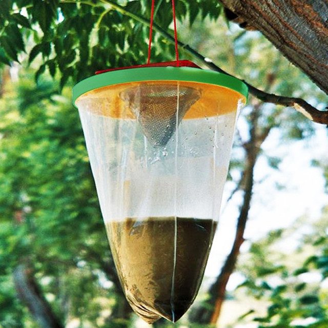 Mnm Box Deals | Flies Away Liquid Fly Trap Flies Away Liquid Fly Trap - Image 2
