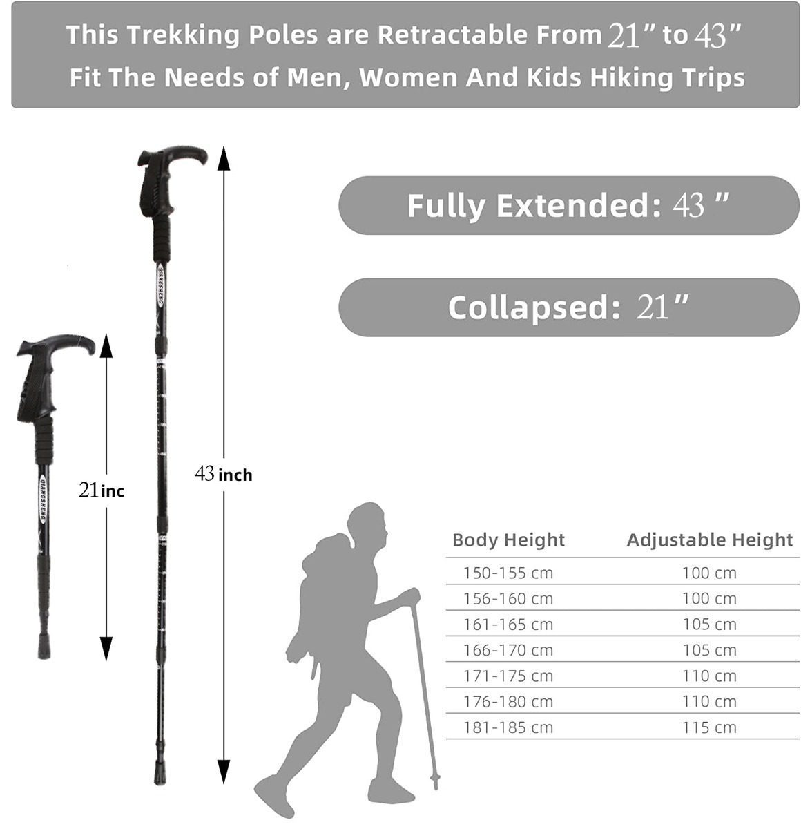 Mnm Box Deals | Trekking Pole With Curved Handle Trekking Pole with Curved Handle - Image 3
